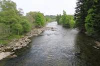 IMG_1786 River Dee