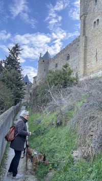 2023-03-07 09-07-24 Carcassonne zur Burg